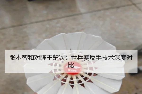 张本智和对阵王楚钦：世乒赛反手技术深度对比